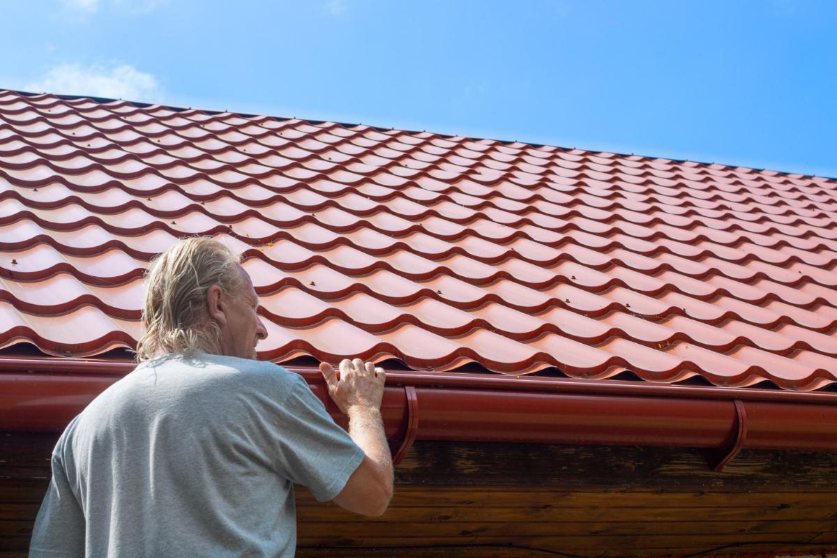 Things You Need to Understand About Roof Cleaning in Autumn and Winter