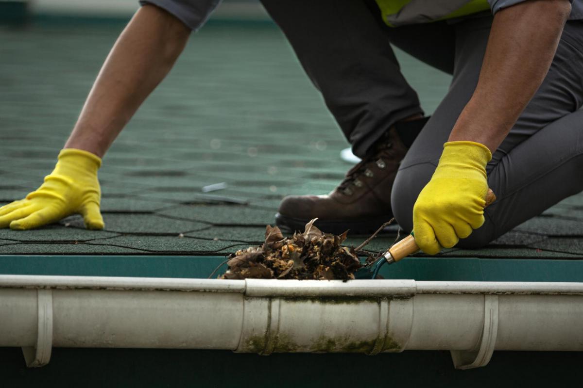 Three Good Reasons to Clean Out Your Gutters This Spring