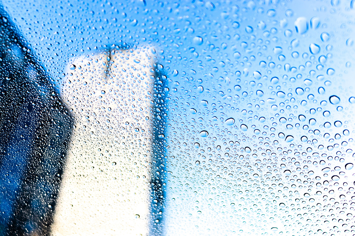 The Benefits of Professional Window Cleaning