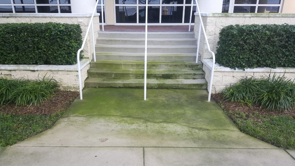 Green algae on concrete