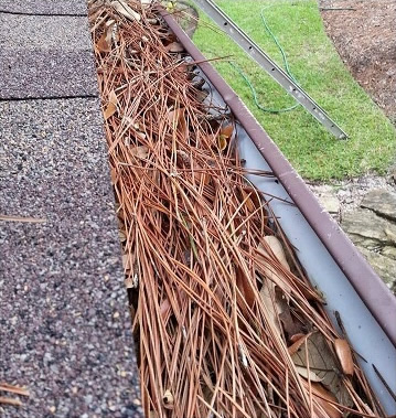 Clogged gutter