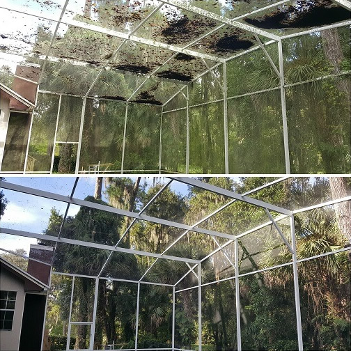 Pool screen enclosure cleaning