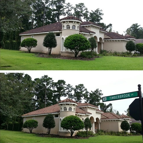 Before & After roof washing